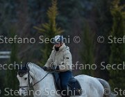 Berlin Tosc Tour2013- S5 1835 : Arezzo, Berlin, Cavalli d'Italia, Toscana Tour 2013, foto di Stefano Secchi ©
